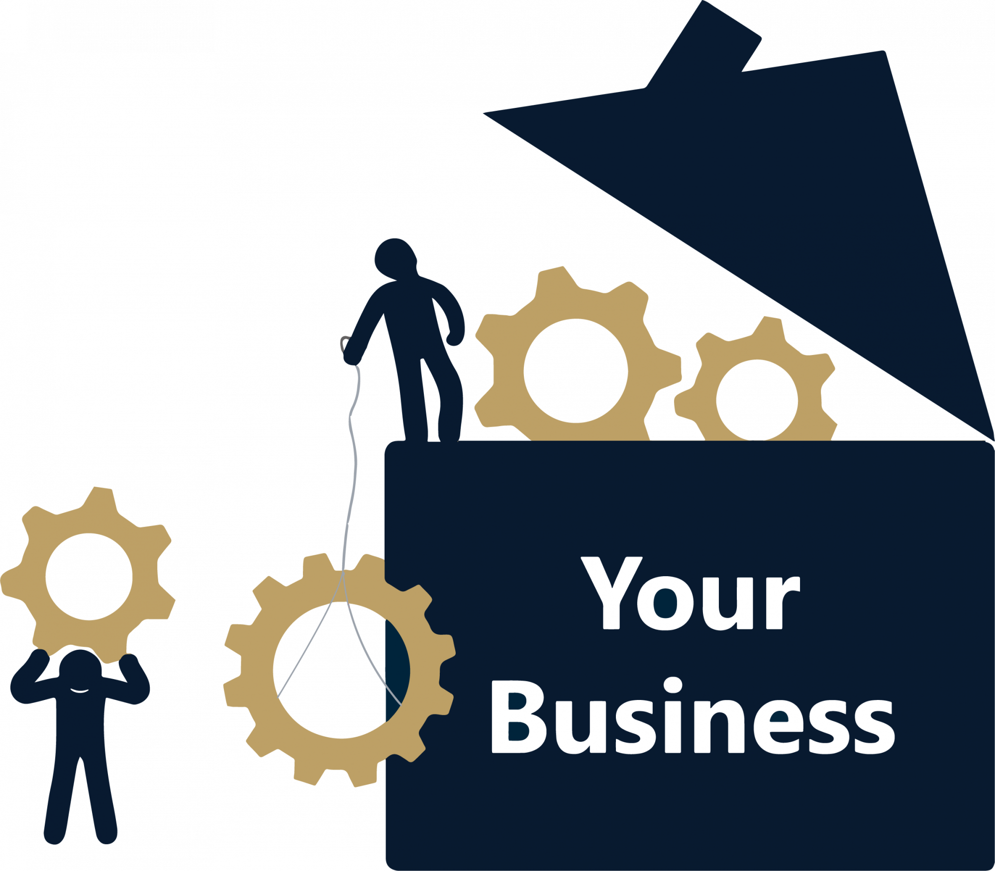 CFO services dgn advisory